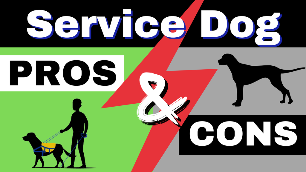 'Video thumbnail for Service Dog PROS and CONS '