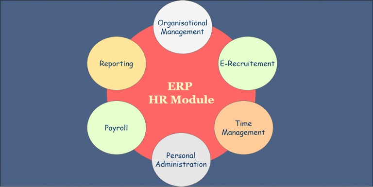 ERP HR Module And 6 Essential Useful Submodules   ERP Information