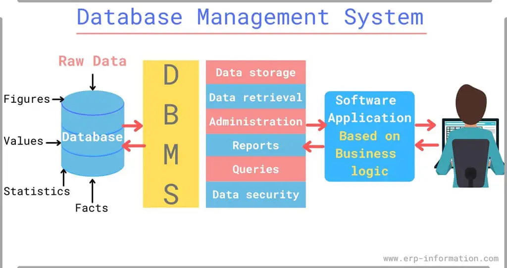 business-rules-in-database-management-nasiraresbray