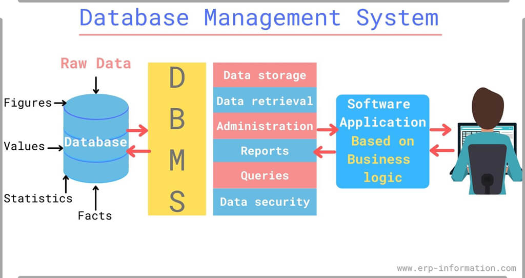 What Is Database Management System DBMS 