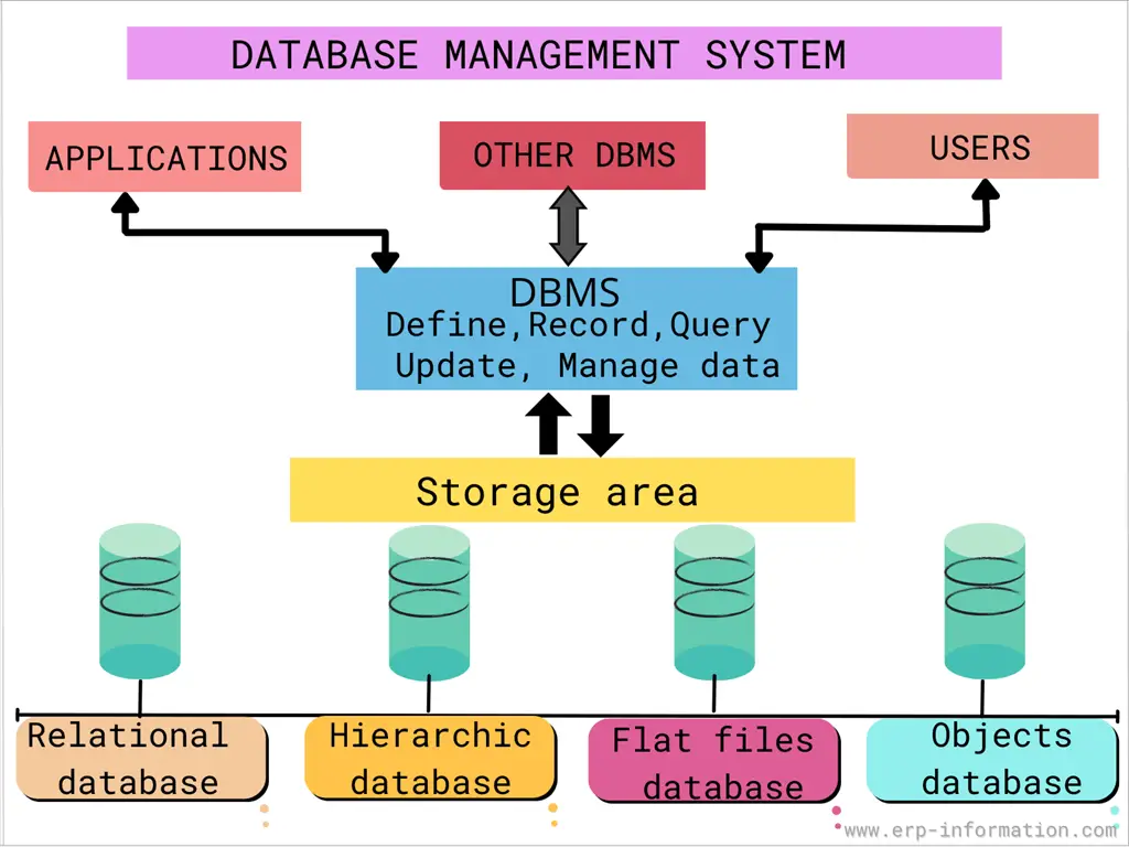assignment for database management system