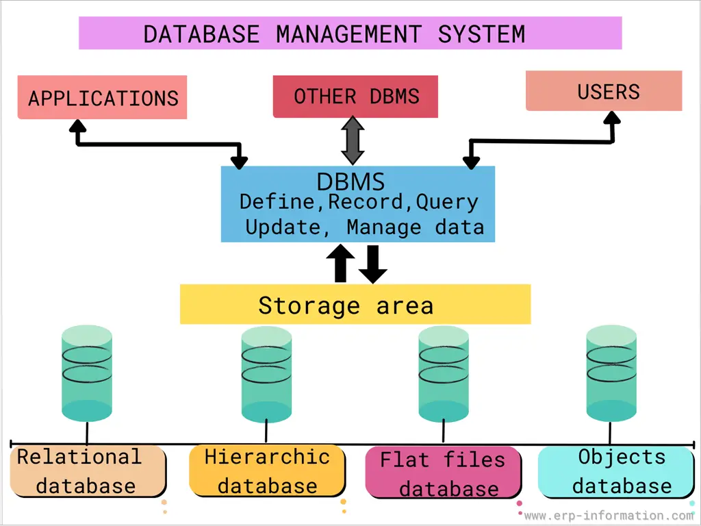 What Is Database Management System DBMS Examples Components