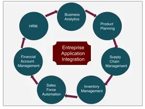 What Is Enterprise Application Integration (EAI)? - Importance, Types