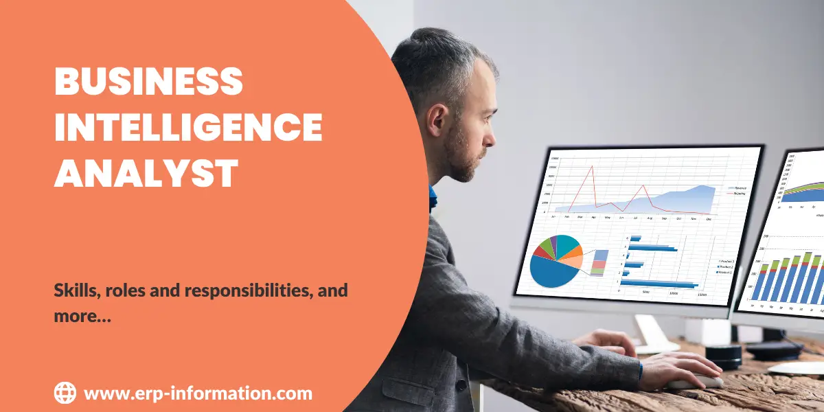 Business Intelligence Analyst Skills Responsibilities 