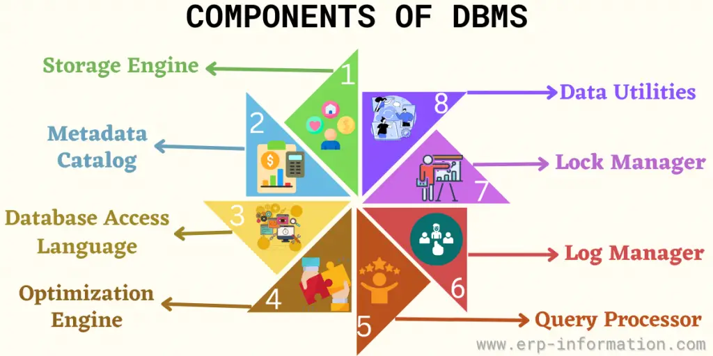 Components of DBMS