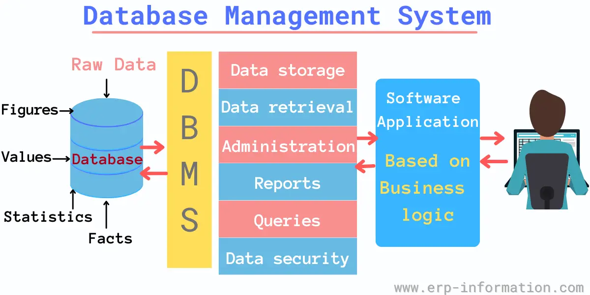 What is Database Management System (DBMS)? - Examples, Components