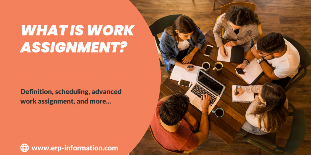 what is meaning of work assignment
